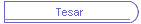 Tesar